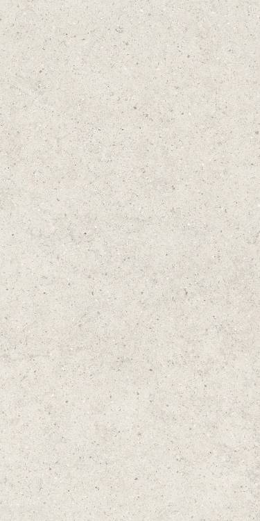 Керамогранит Italon Форум 610010004166 Стоун Полар Рет 60x120