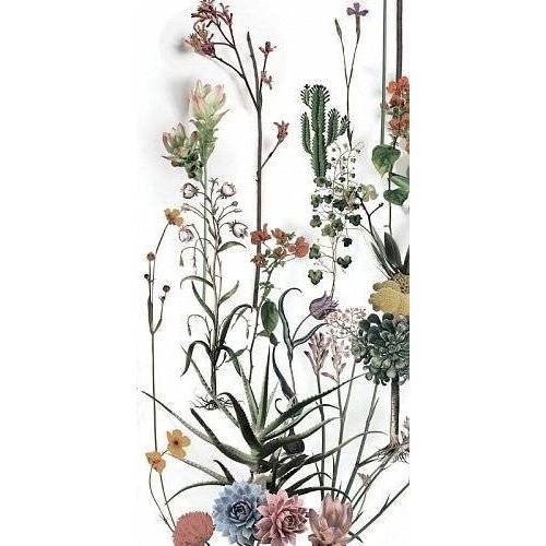 Керамогранит 41ZERO42 Paper Lux 4100716 Franz 60x120