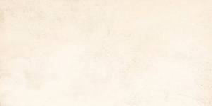 Керамогранит Grasaro Beton G-1101/CR/300x600x9 Бежевый 30x60