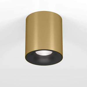 Потолочный светодиодный светильник Elektrostandard Primo 25116/LED 12W 4000K латунь