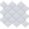 Мозаика Starmosaic Fan & Latern & Penny Round Da40015/Dl1001 Latern White Glossy 24.6x28