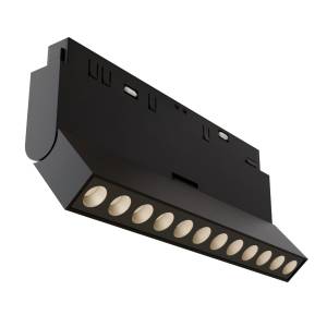 Трековый светильник Technical Points rot TR033-2-12W4K-B