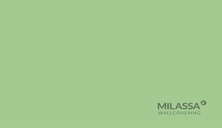 Обои флизелиновые Milassa Twins Tw19 005