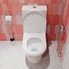 Унитаз-компакт Iddis Stone STNRDSEi24 белый фото 5