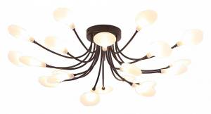 Потолочный светильник Arte Lamp Guimet A7423PL-20BK