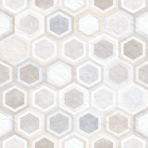 Керамогранит Alma Ceramica Evolution GFU04EVL47R 60x60