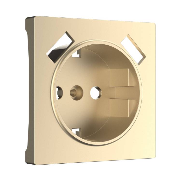 Накладка для розетки Werkel W1179511