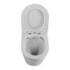 Унитаз приставной BelBagno Flay-r BB1003CBR/SC, с сиденьем фото 7