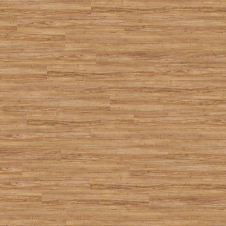 LVT Плитка Wineo 800 Wood 5/42 4V DLC00081 Клен Медовый теплый 1212x185