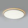 Светильник с пультом Citilux Norma CL749500 LED RGB фото 3