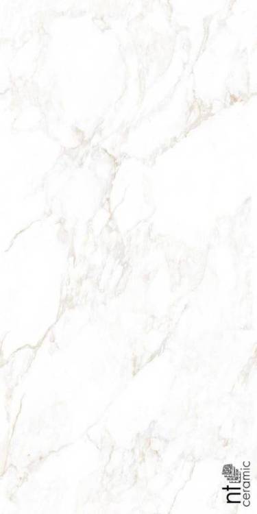 Керамогранит NT Ceramic Marmo NTT99526M Marble Extra Endless матовая 60x120