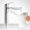 Смеситель для раковины Hansgrohe Focus 31531000 фото 2