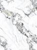 Керамогранит Basconi Home Bianco BHW-0035-2 Gold-2 Full body polished 60x120 фото 2
