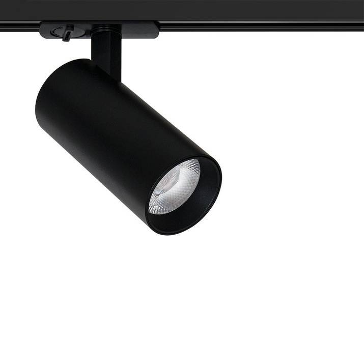 Светильник потолочный Arte Lamp Bene A1936PL-1BK