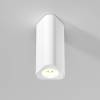 Потолочный светодиодный светильник Elektrostandard Trio 25110/LED 8W 3000K белый