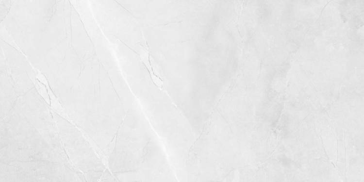 Керамогранит Royce R_PR2015 Floris Bianco Polished 60x120