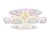 Потолочный светодиодный светильник Ambrella light Acrylica FA2921