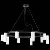 Подвесная люстра Lightstar Rullo LR0203658650 фото 3