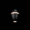 Подвесной светильник Loft It Viterbo 10336 Black фото 4