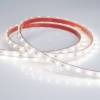 Светодиодная влагозащищенная лента Arlight 4,8W/m 60LED/m 2835SMD холодный белый 5M 021099(2) фото 2