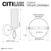 Бра Citilux Fernet CL254310 фото 12