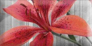Декор Absolut Keramika Monocolor Mix Flowers RBW 7.5x15