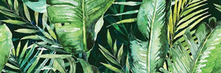 Декор Ceramika Konskie Braga Tropic B Rett 25x75
