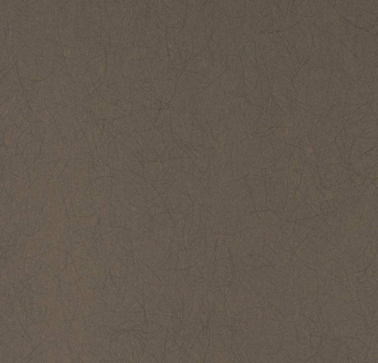 Обои флизелиновые Bernardo Bartalucci Legend 5068-28