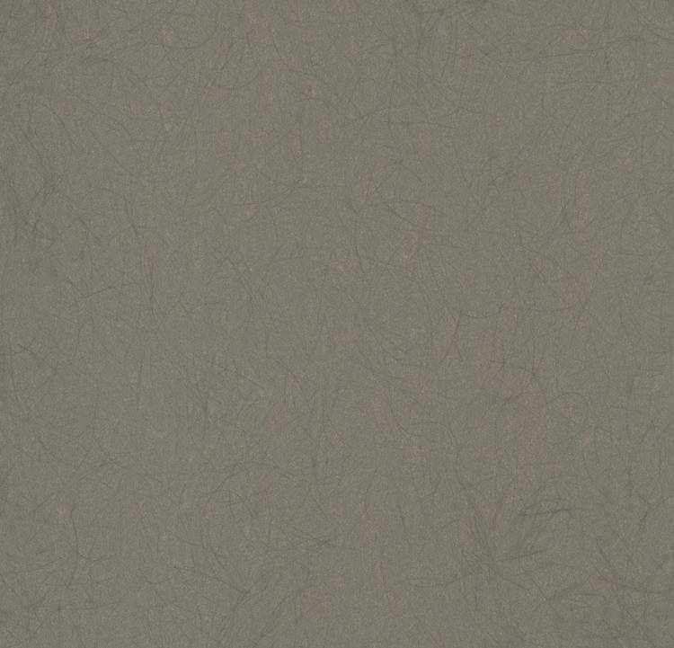Обои флизелиновые Bernardo Bartalucci Legend 5068-8