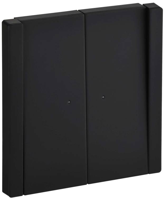 Выключатель 2-клавишный проходной IEK Forte&Piano FP-V22-1-10-1-M-K02 черный