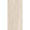 Керамогранит Casalgrande Padana Pietra Tiburtina 17720023 Campidoglio Vein 60x120
