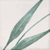 Декор Eletto Ceramica Mate Decor Greens 15x15 фото 6