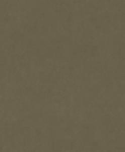 Обои Rasch Garden 330120