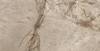 Керамогранит Ennface Stone ENSTN1033CR60120 Kalahari Carving 120x60x0.9 фото 2