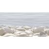 Декор Alma Ceramica Del Mare DWU09DLM604 24.9x50