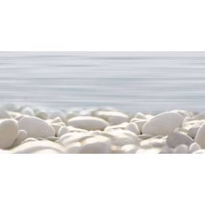 Декор Alma Ceramica Del Mare DWU09DLM604 24.9x50