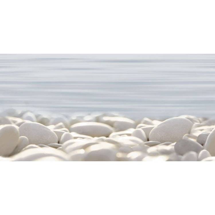 Декор Alma Ceramica Del Mare DWU09DLM604 24.9x50