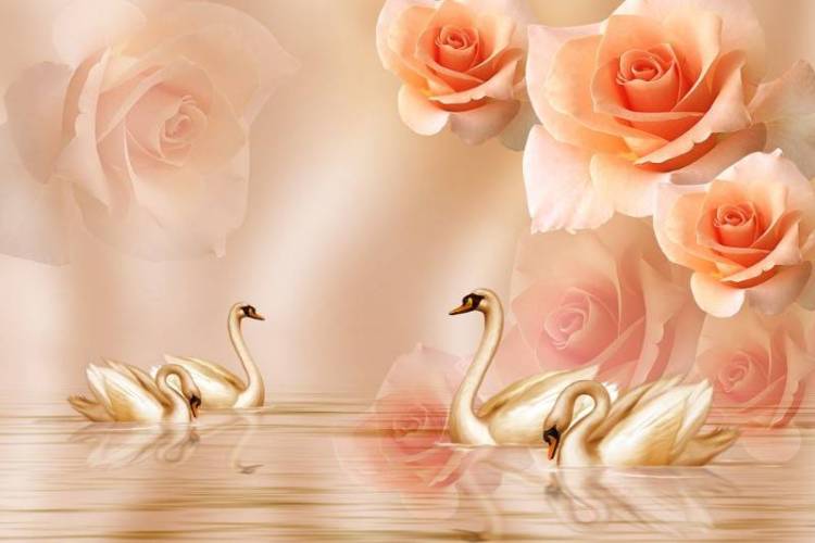 3D Фотообои Artegrafico «Неразлучные лебеди» RH-053 акварель