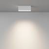Потолочный светильник Technical Ceiling C066CL-12W3-6K-W фото 4
