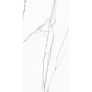 Керамогранит Realistik Chance Grey Carving 60x120