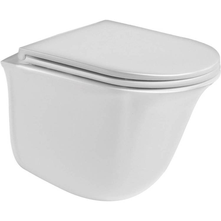 Унитаз подвесной Weltwasser WW SK 10000003668 Telbach 004GL-WT безободковый, с крышкой-сиденьем микролифт, белый глянцевый