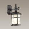 Уличный настенный светильник Odeon Light Nature House 4042/1W фото 2