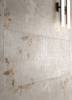 Декор Marca Corona Lilysuite I366 Villa B 50x120 фото 10