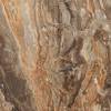 Керамогранит Primavera GR104 Richter Brown High Glossy 60x60 фото 8