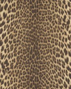 Обои Roberto Cavalli №9 21041