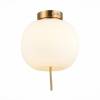 Потолочная люстра ST Luce Lacus SL1621.202.01