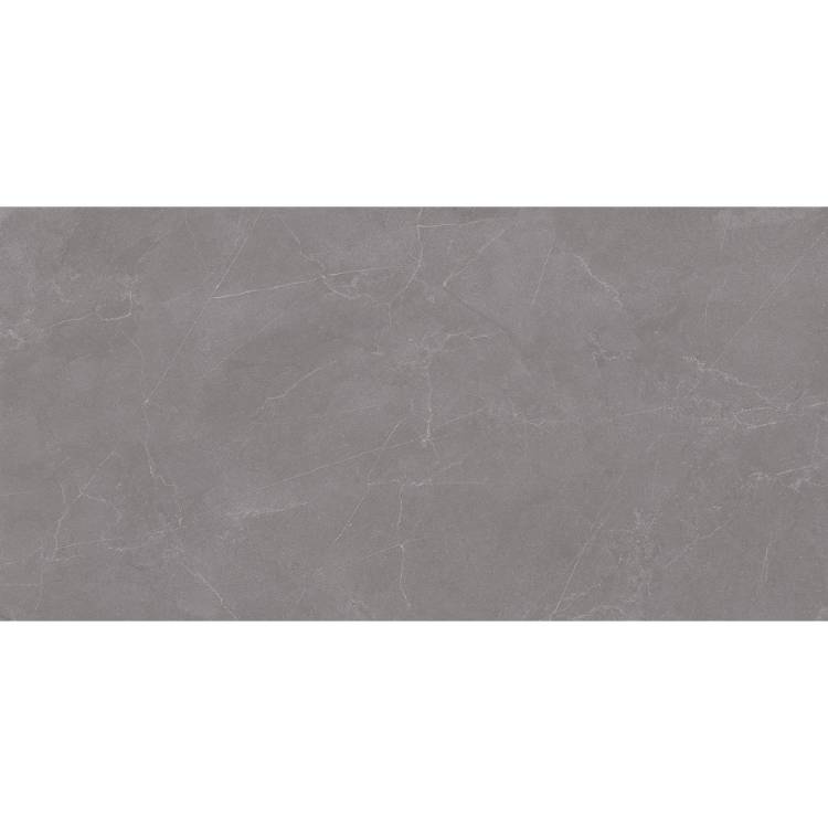 Керамогранит Staro Rizzi Valencia Grey Matt 60x120