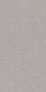 Керамогранит TAU Ceramica Calcare Dc Silver 60x120