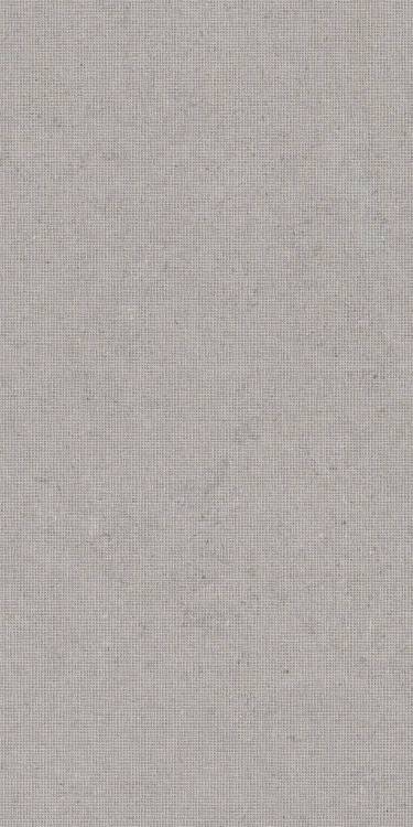 Керамогранит TAU Ceramica Calcare Dc Silver 60x120