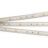 Светодиодная влагозащищенная лента Arlight 14,4W/m 60LED/m 5060SMD теплый белый 5M 021464(2)